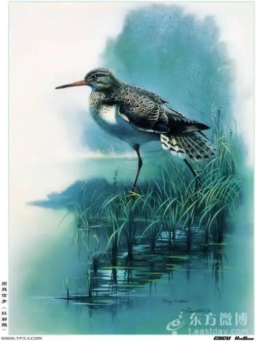 中國動植物畫第一人，曾孝濂極品工筆畫