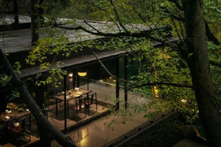 如此優雅的配色簡直太讚了