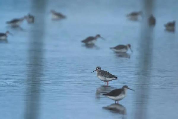 【探索】在長三角一體化示範區，尋找秋天的色彩
