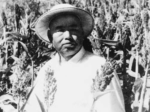 1973年毛澤東讓許世友多讀書，許世友命下屬編寫&OpenCurlyDoubleQuote;特供版&rdquo;紅樓夢