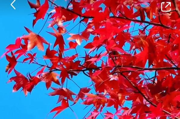 年少不知父母恩,半生糊塗半生人 年少不知父母恩,半生糊塗半生人