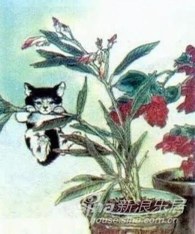 三位文人與貓的故事:錢鍾書幫自家貓打架,你聽說過嗎? 三位文人與貓的故事:錢鍾書幫自家貓打架,你聽說過嗎?