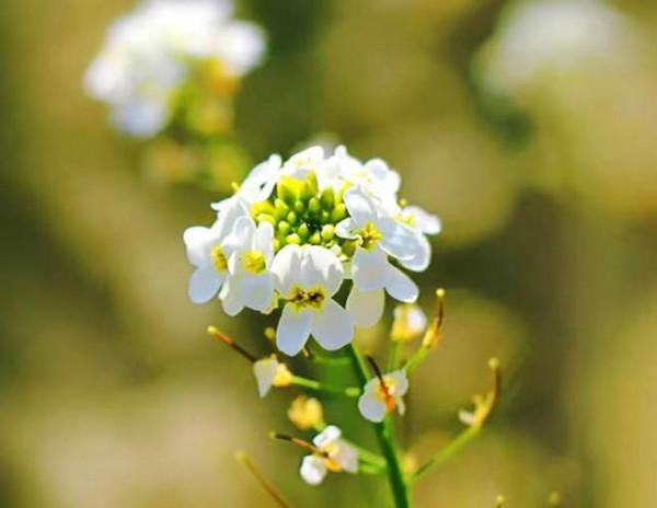 人生感悟：生活中的3種人，不必要再來往！及時止損