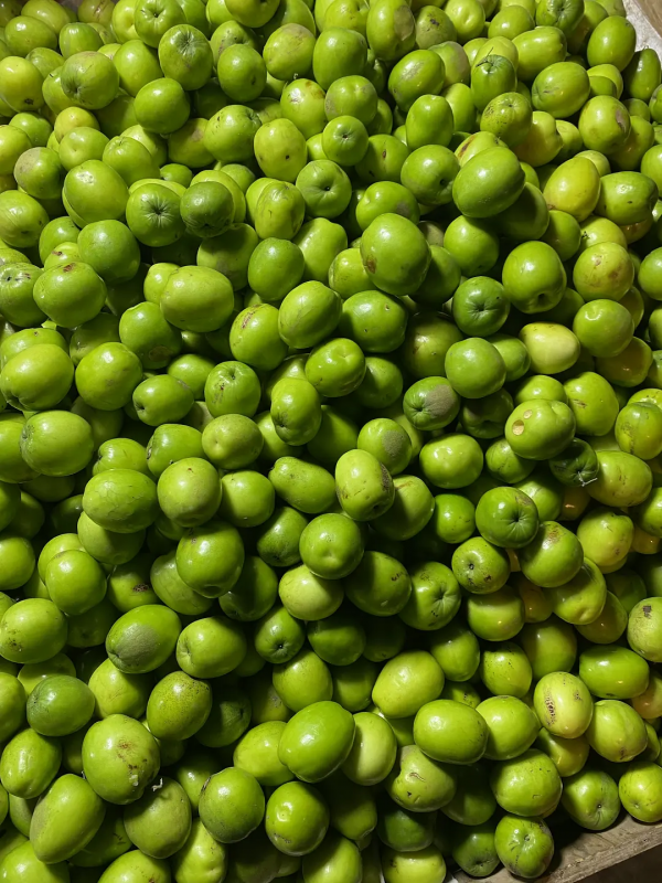 雲南紅河蒙自，大樹寨夜市