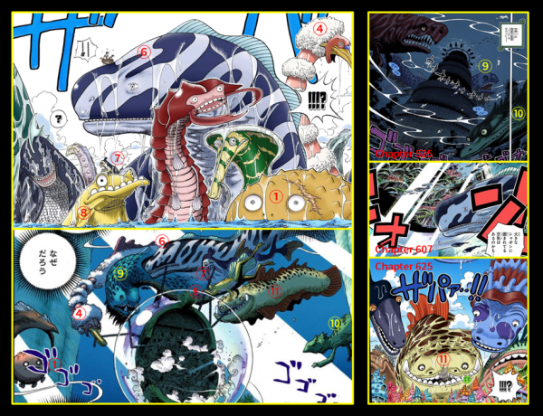 「流星電臺」海賊王動畫1000集精解帖 「流星電臺」海賊王動畫1000集精解帖