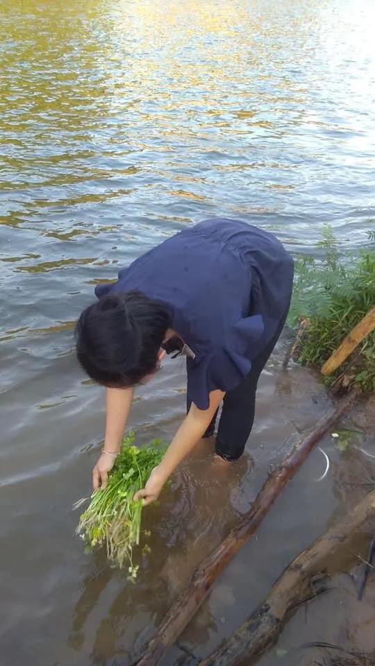 寮國田園是多麼的美
