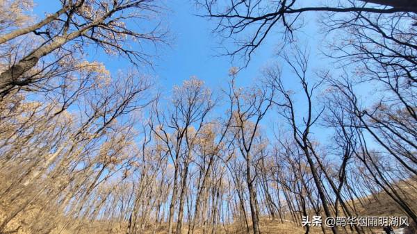 新年徒步，意外收穫，泰山雲海仙境