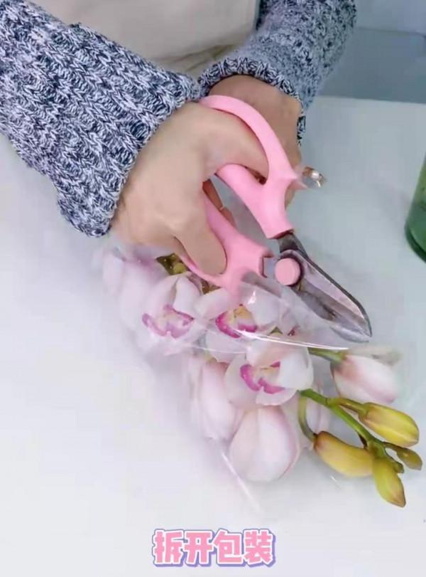 有一種不屈的堅韌。當之無愧的大家閨秀——大花蕙蘭 有一種不屈的堅韌。當之無愧的大家閨秀——大花蕙蘭