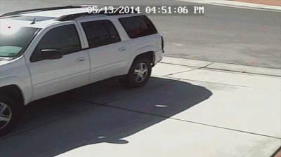 一隻貓擊退3只野狼,只為保護主人 一隻貓擊退3只野狼,只為保護主人