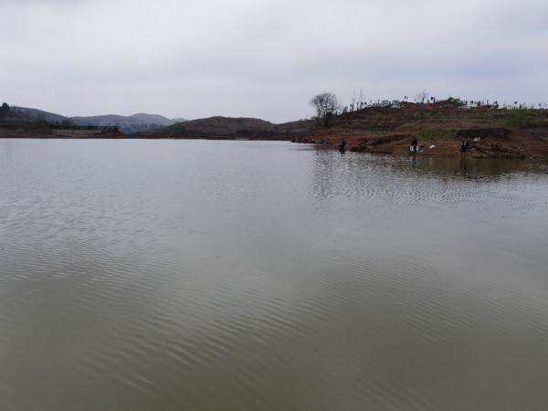 官莊水庫野釣爆護之旅,看看大師如何使用者實踐來證明 官莊水庫野釣爆護之旅,看看大師如何使用者實踐來證明