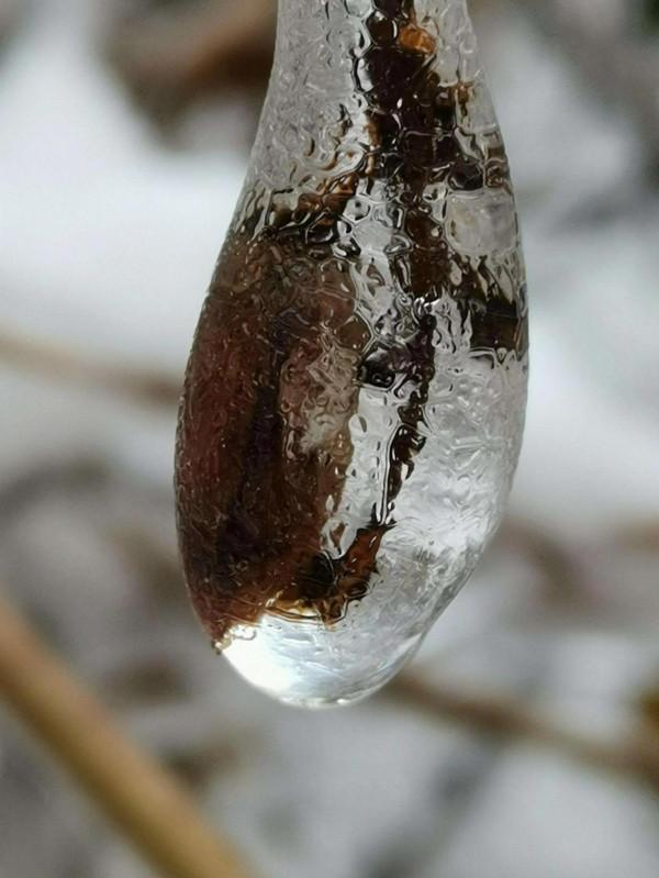 最賦有想向力的“藝術品” 最賦有想向力的“藝術品”