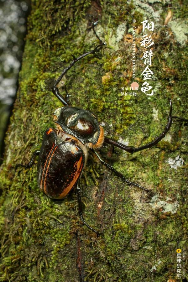 出發！看中國五大國家公園