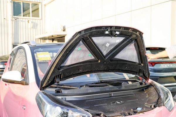 5.99萬起售，續航408km，奇瑞小螞蟻拿什麼吸引人？