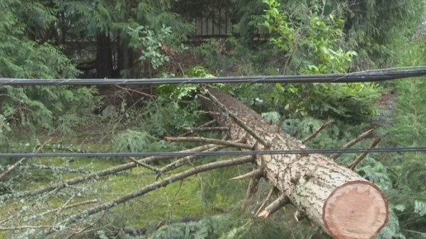 卑詩省暴風雨+大雪狂砸 氣溫降到零下 天車站漏水 連環車禍堵大橋