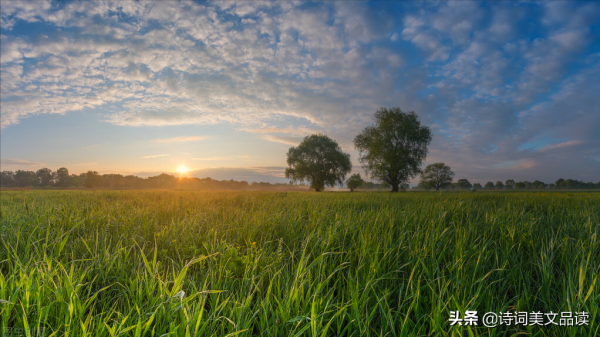 十二個月，十二首詩，十二種美
