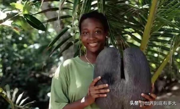 “塞席爾”現狀，比我國還富的非洲國家，帶你看看真實的塞席爾