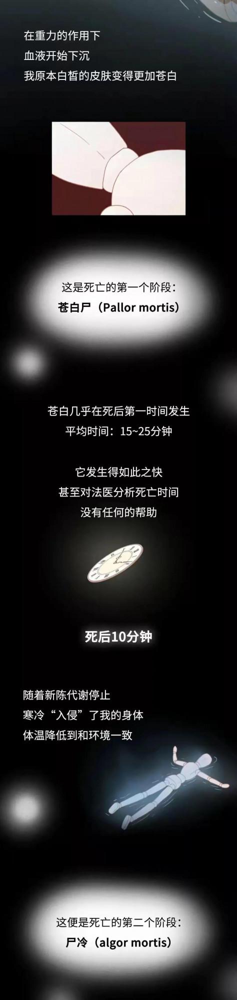 人死後1萬年，屍體會發生哪些變化？漫畫解答，建議提前瞭解下