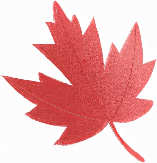 大美秋天！每一張都是桌布