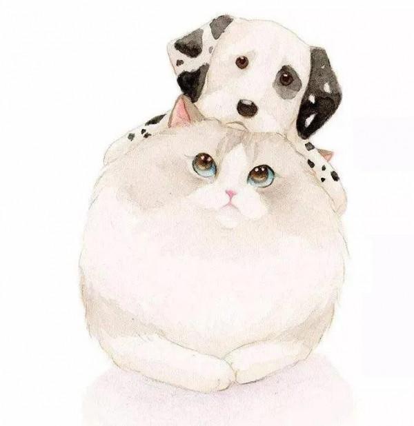 同學聚會你會去嗎? 同學聚會你會去嗎?