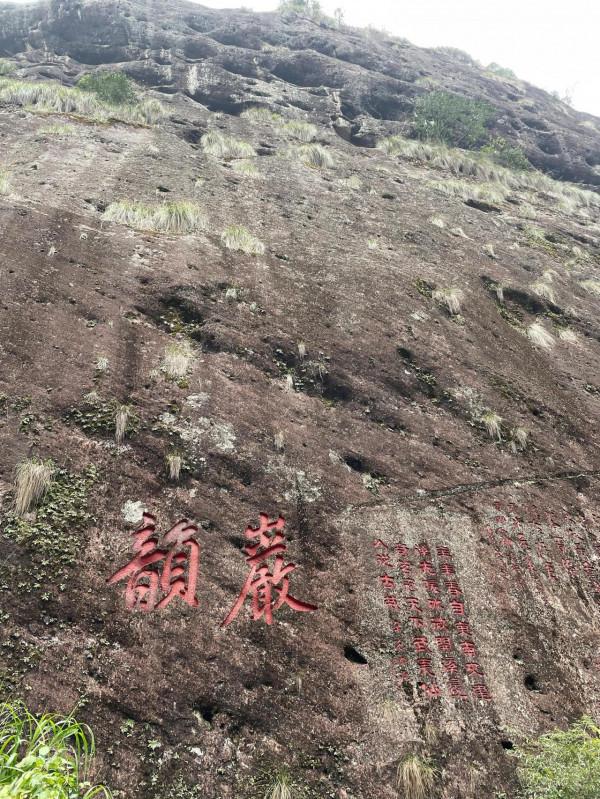 小姐姐們一起走進武夷山正巖茶產區