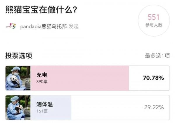 今天，來說說如何給大熊貓“充電”