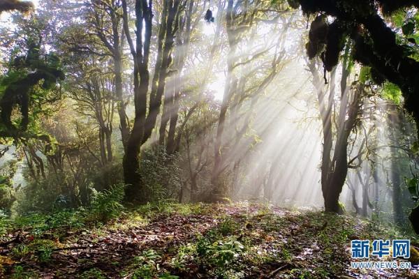 雲南已劃建自然保護地362處 約佔全省國土面積的14.32%