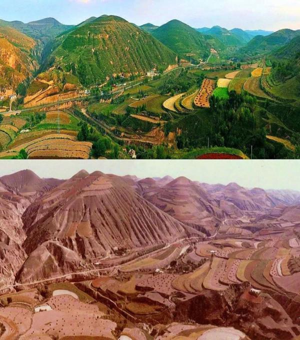 重回盛唐?西北乾枯湖泊河流正在“復活”,新疆正變為塞上江南? 重回盛唐?西北乾枯湖泊河流正在“復活”,新疆正變為塞上江南?