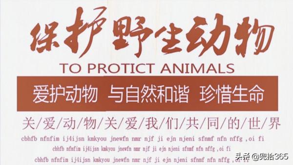 罕見!神秘猛禽首次現身湖南華容,專家親自鑑定,網友:大有來頭 罕見!神秘猛禽首次現身湖南華容,專家親自鑑定,網友:大有來頭