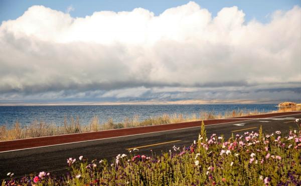 大西洋最後一滴眼淚