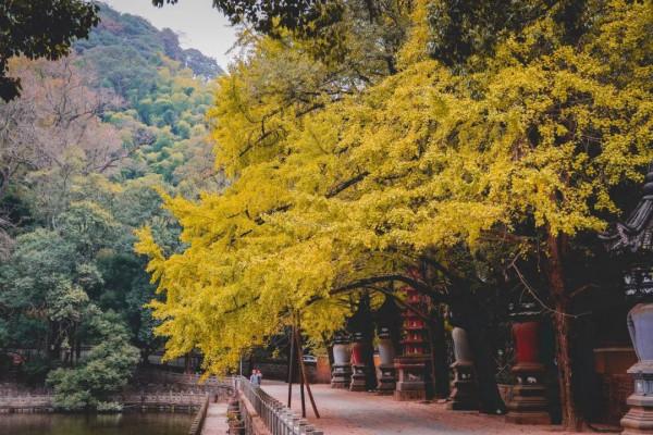 細數寧波值得打卡的地方，去完不想走了