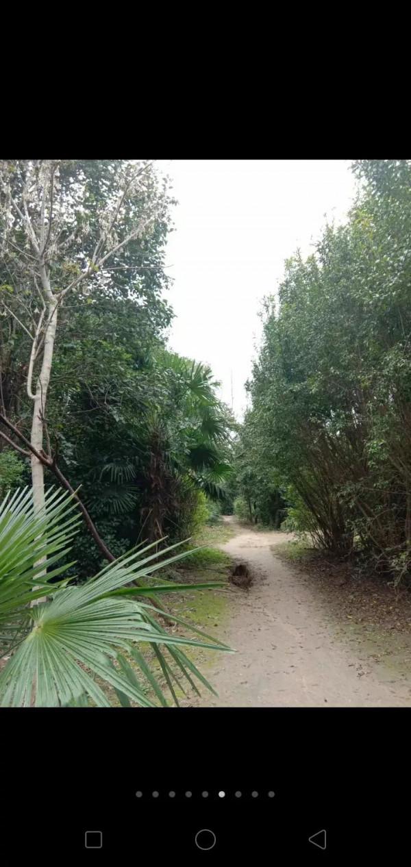 對九種人的說話技巧