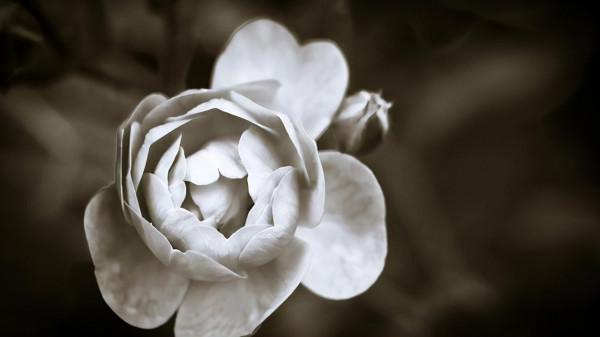 真的，不必為你的樣貌感到自卑