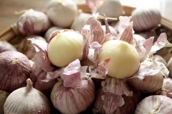 同樣是大蒜，“紫皮”和“白皮”區別挺大，學會再買不吃虧