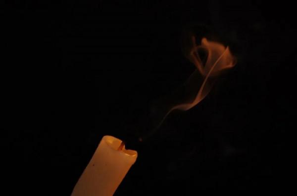 我與小貓的不解之淵 我與小貓的不解之淵