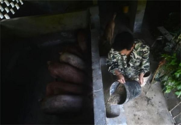 貴州一家五代人隱居山洞上百年，給錢也不搬：城裡人沒這個福氣