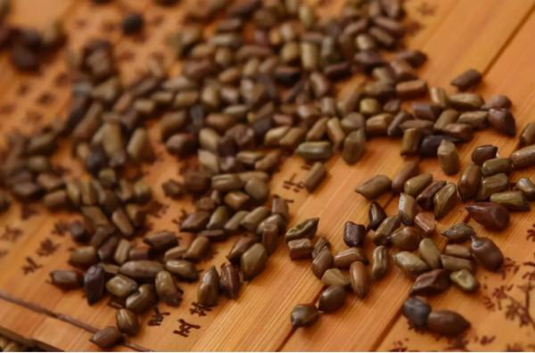 氯吡格雷有哪些作用、禁忌和注意事項？早熟知，早受益