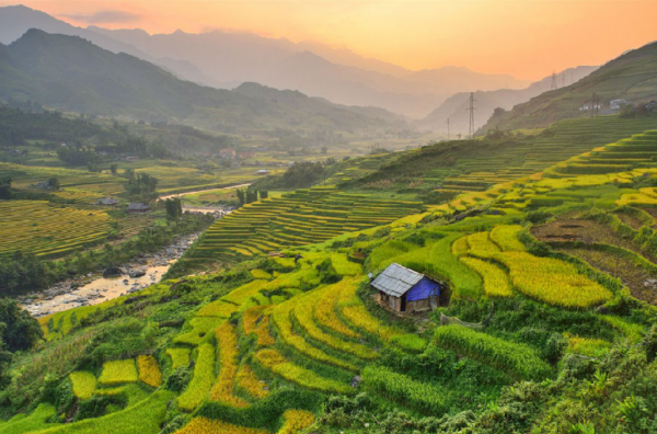 《百年故地尋芳枝》(下)|在百年風雲中探尋家道興衰的奧秘 《百年故地尋芳枝》(下)|在百年風雲中探尋家道興衰的奧秘