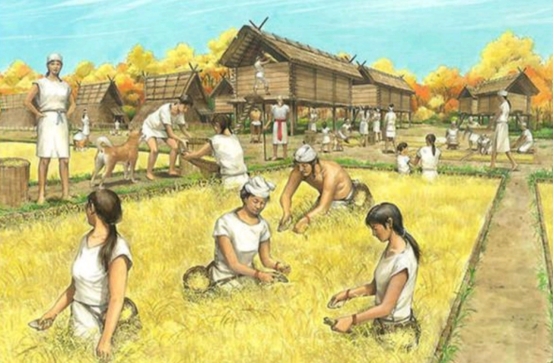 日本人是中國漢族的後代?古DNA研究給出了案,他們要來尋根了? 日本人是中國漢族的後代?古DNA研究給出了案,他們要來尋根了?