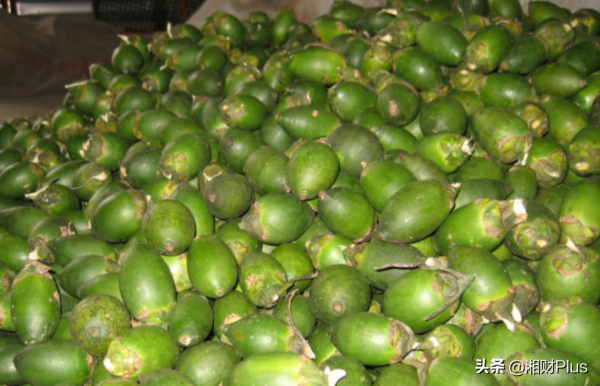 湖南檳榔巨頭董事長：價格戰仍在繼續，禁廣令讓人提心吊膽