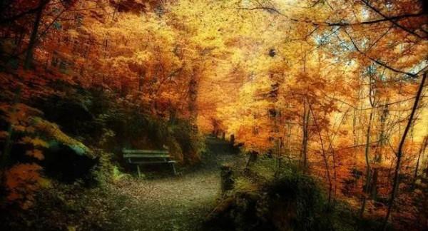 陽光向前邁,幸福永相隨 陽光向前邁,幸福永相隨