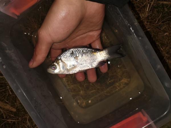 路亞入坑，座標高郵