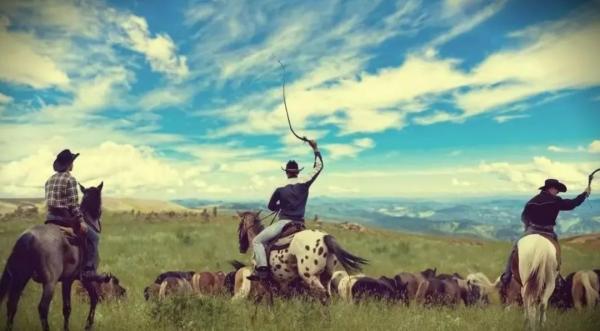 各人種之間為何不存在生殖隔離?黑種人、白種人、黃種人發展史 各人種之間為何不存在生殖隔離?黑種人、白種人、黃種人發展史