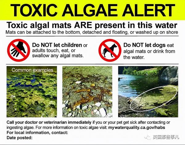 夫妻帶著1歲娃和狗徒步,全部離奇死亡,2個月後警方終於查明真相 夫妻帶著1歲娃和狗徒步,全部離奇死亡,2個月後警方終於查明真相