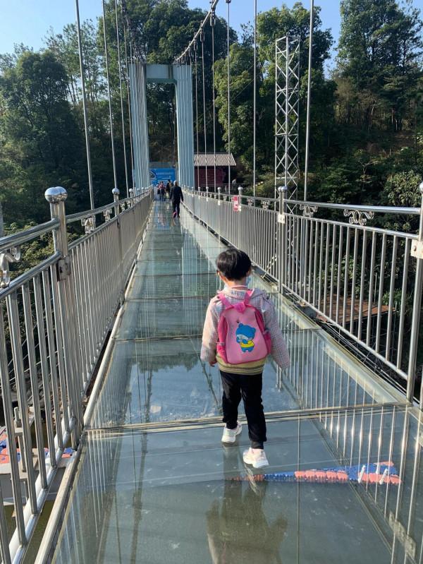 我們今天又到山裡來打卡了 我們今天又到山裡來打卡了