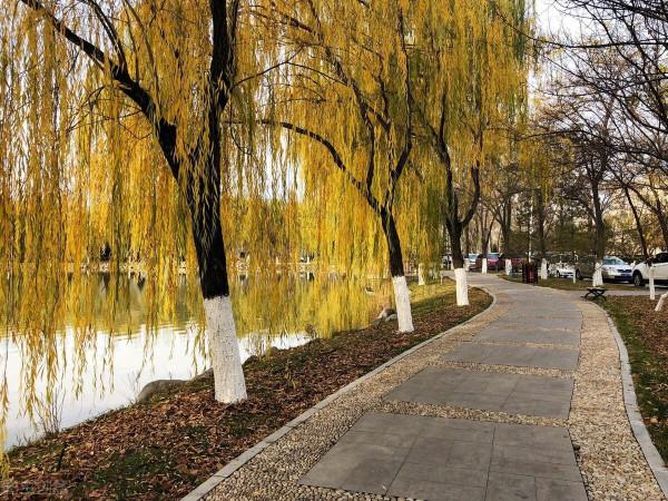 走失在流年裡的朋友——我的團長