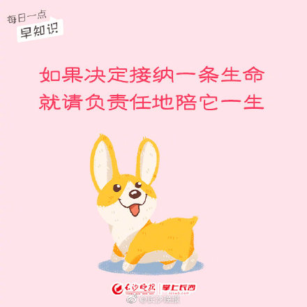 養寵物，你真的做好準備了嗎？