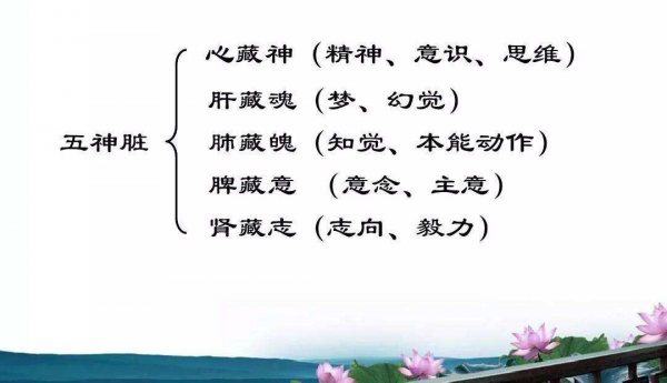 失眠未愈又汗多，是肝腎陰虛惹的禍！1箇中醫方，滋補肝腎助睡眠