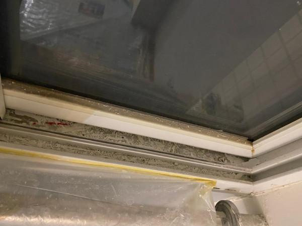 多樂士煥新,我後悔了 多樂士煥新,我後悔了