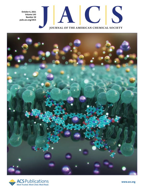 浙江大學馮建東課題組：穩定的大環分子奈米孔離子傳導器件