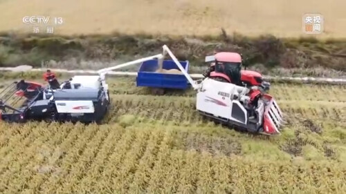 農業：走上高質量發展之路